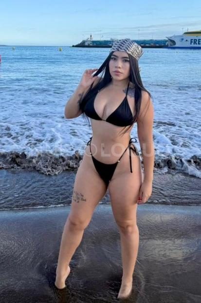 NuevoLoquo3