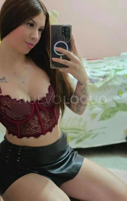 NuevoLoquo2
