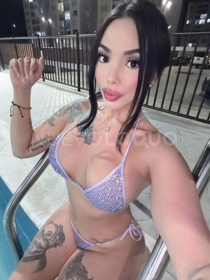 NuevoLoquo3