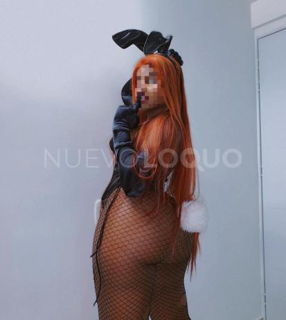 NuevoLoquo3