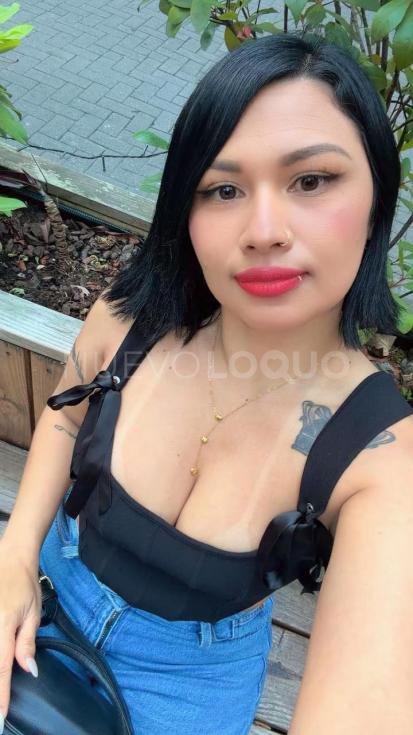 NuevoLoquo3