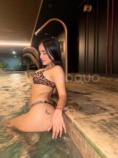 NuevoLoquo1