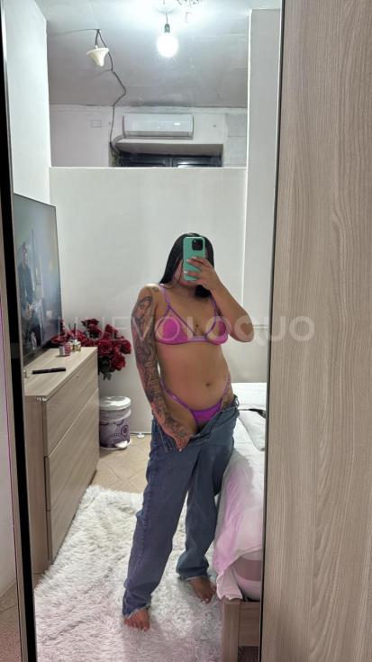 NuevoLoquo1