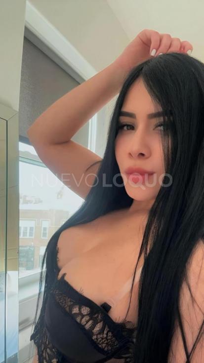 NuevoLoquo4