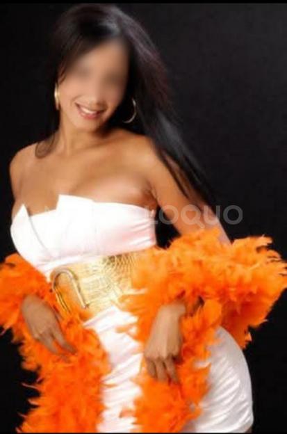 NuevoLoquo2
