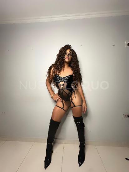 NuevoLoquo4