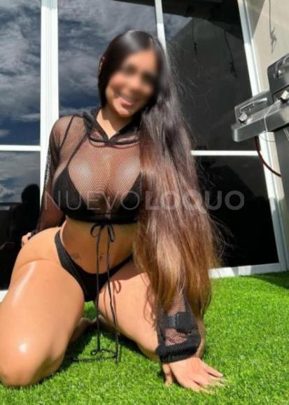 NuevoLoquo2
