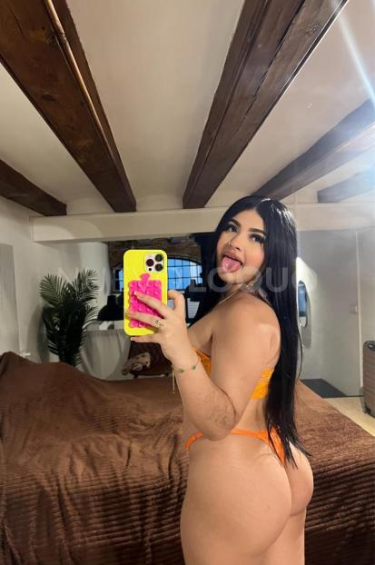 NuevoLoquo3