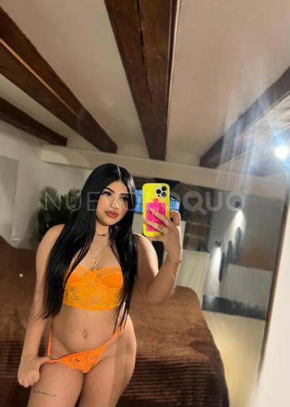 NuevoLoquo4