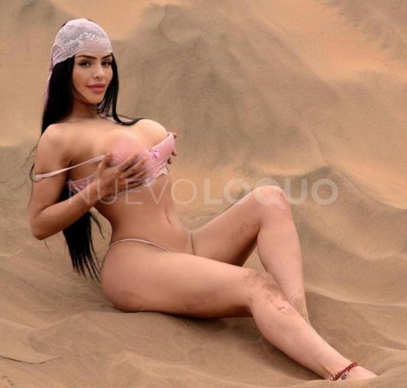 NuevoLoquo2