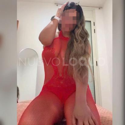 NuevoLoquo2