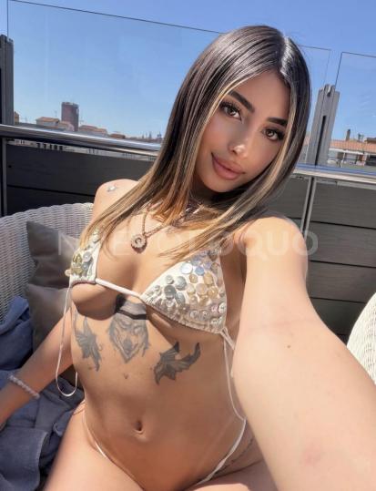 NuevoLoquo4