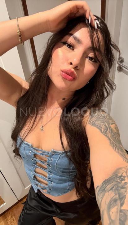 NuevoLoquo3