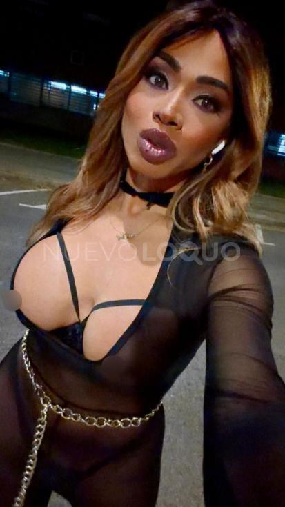  Novedad exuberante transexual