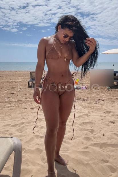 NuevoLoquo3