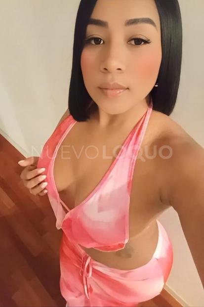 NuevoLoquo3