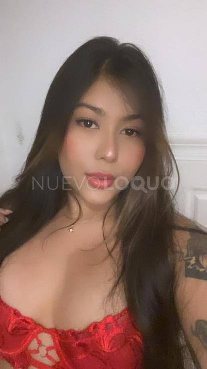 NuevoLoquo3