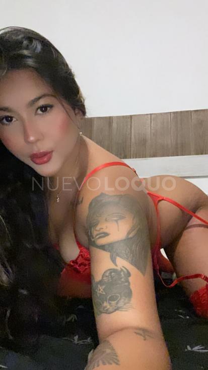 NuevoLoquo3
