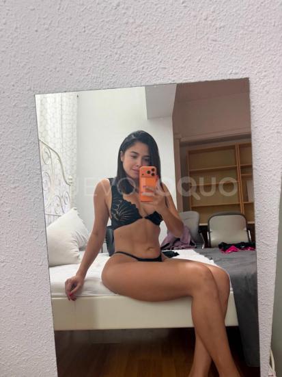 NuevoLoquo2