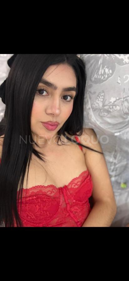 NuevoLoquo3