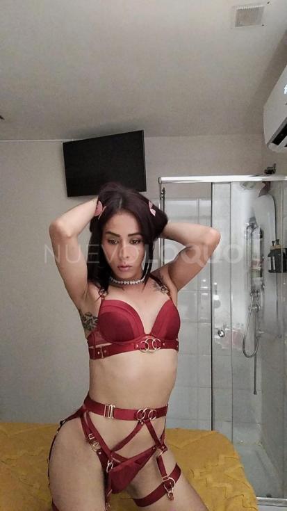 NuevoLoquo1