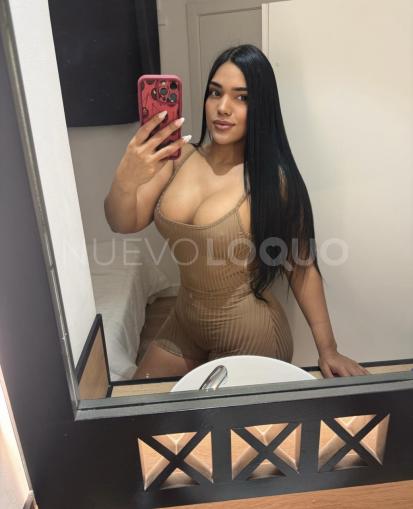NuevoLoquo3