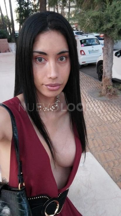 contactos pasion