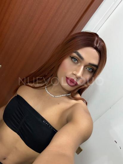 NuevoLoquo1