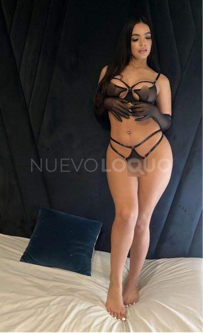 NuevoLoquo3