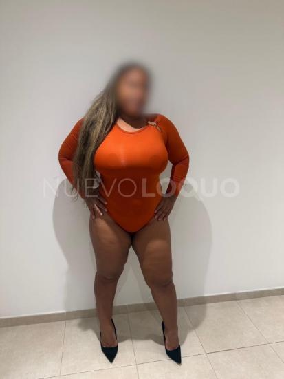 NuevoLoquo4