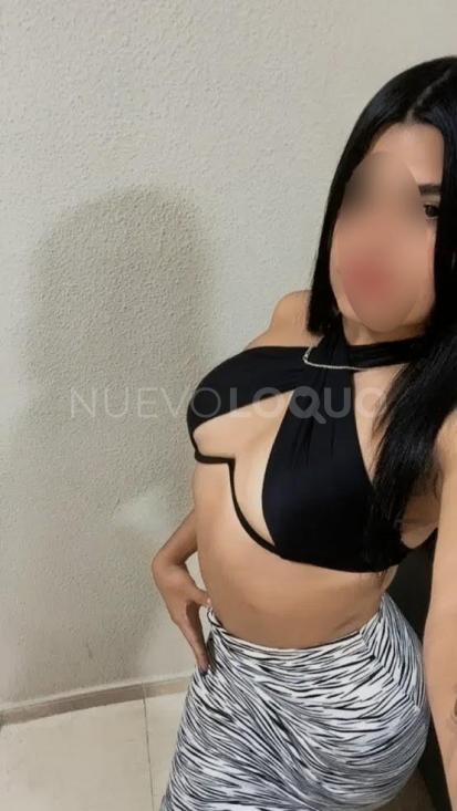 contactos pasion