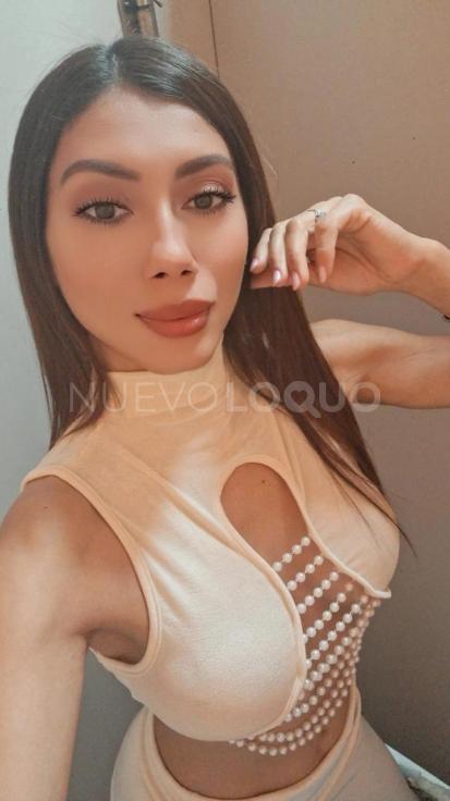 NuevoLoquo4