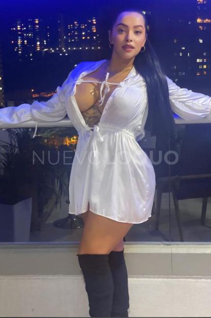 NuevoLoquo3