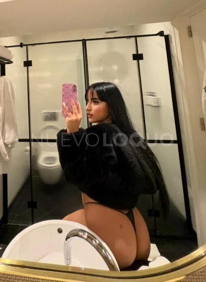 NuevoLoquo3