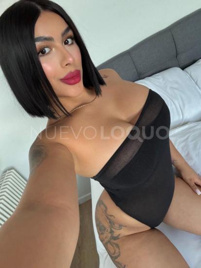 NuevoLoquo3