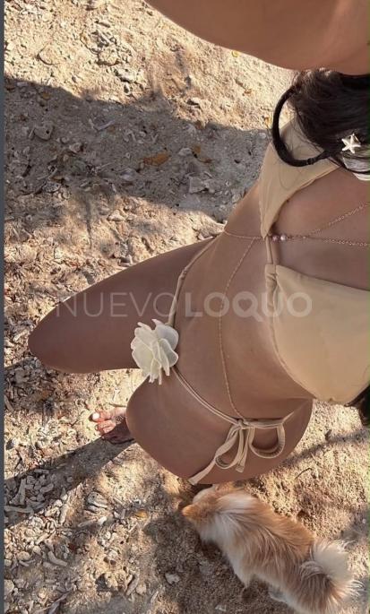 NuevoLoquo2
