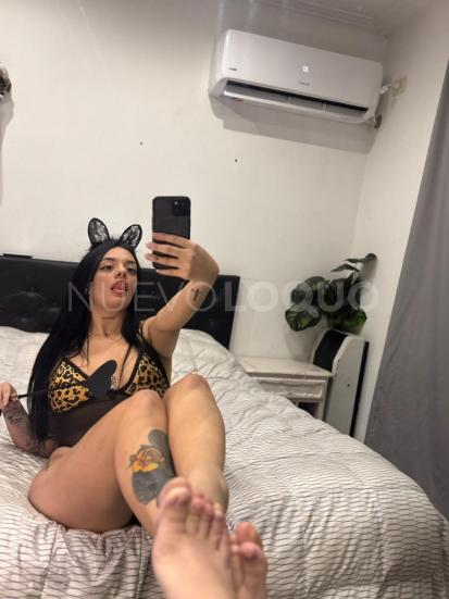 contactos pasion