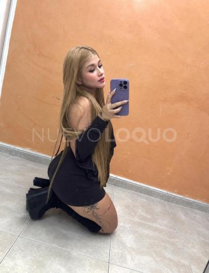 NuevoLoquo2