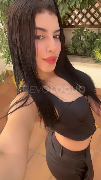 contactos pasion