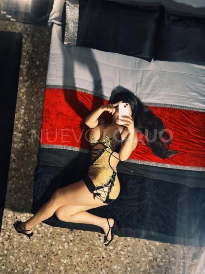 NuevoLoquo3