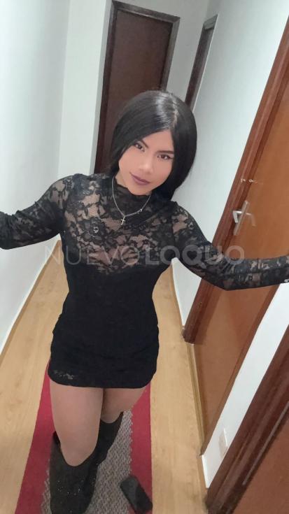 NuevoLoquo2