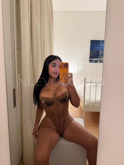 NuevoLoquo3