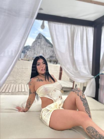 NuevoLoquo4
