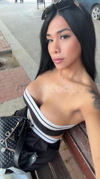 NuevoLoquo2