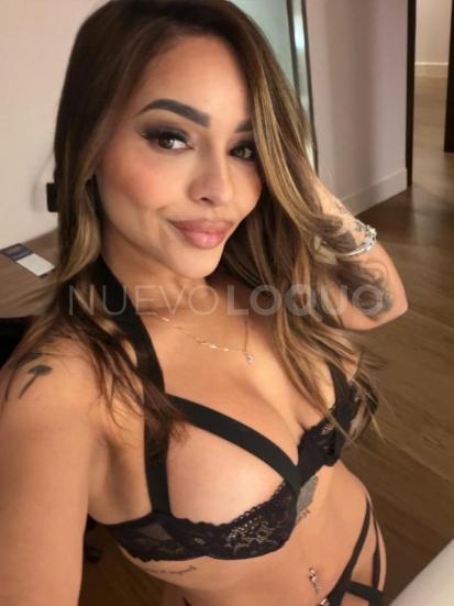 NuevoLoquo4