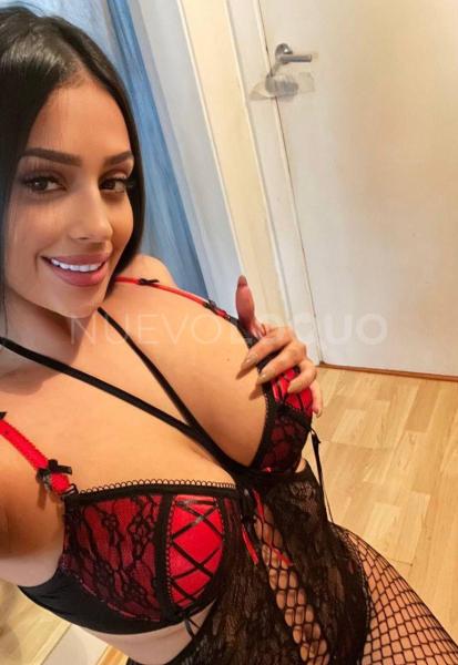 NuevoLoquo2
