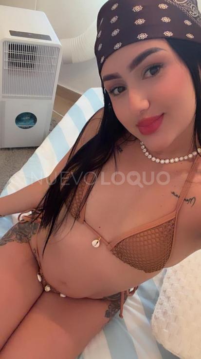 NuevoLoquo2