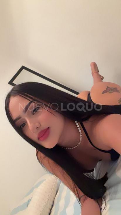 NuevoLoquo3