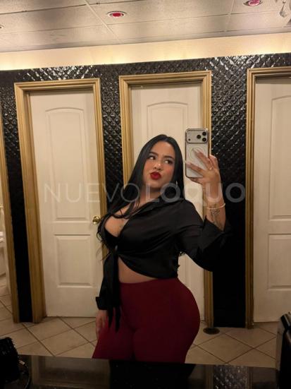 NuevoLoquo3