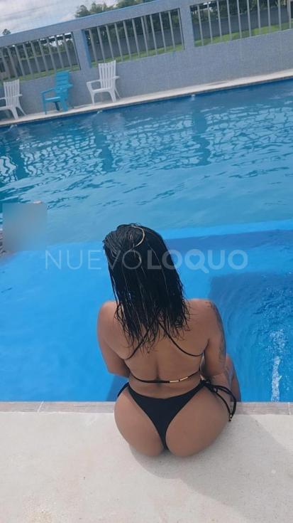 NuevoLoquo3